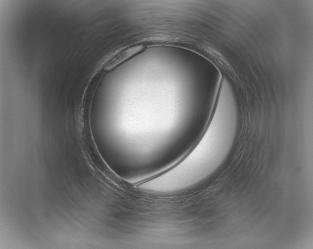 X0000071940484200607071017