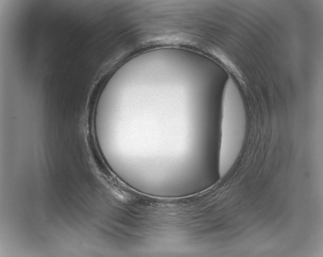 X0000071940486200607071017
