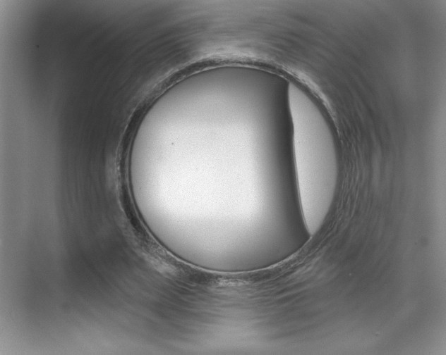 X0000071940487200607071017