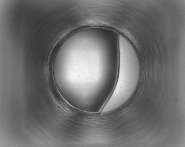X0000071940488200607071017