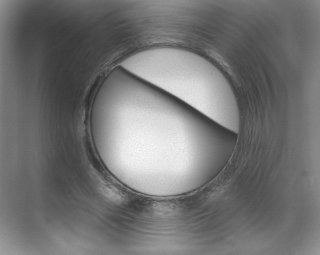 X0000071940490200607071017