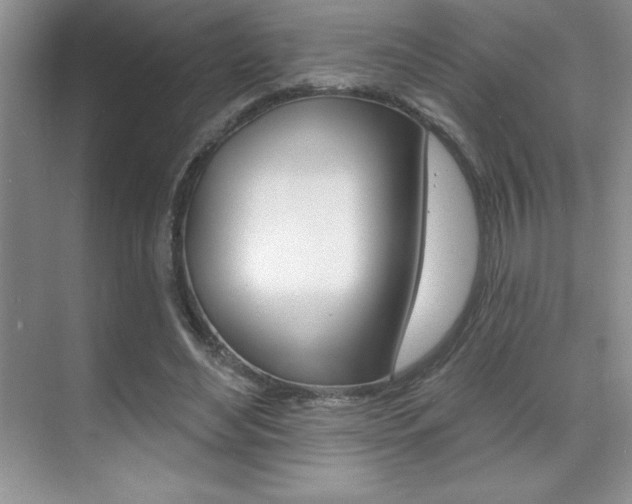X0000071940492200607071017