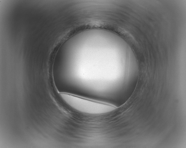 X0000071940496200607071017