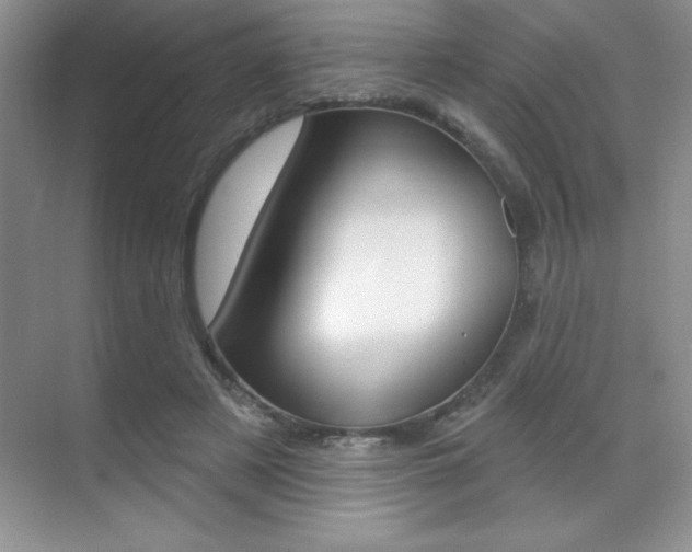 X0000071940497200607071017