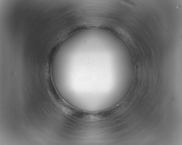 X0000071940498200607071017