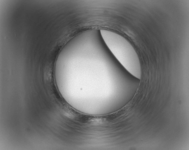 X0000071940499200607071017