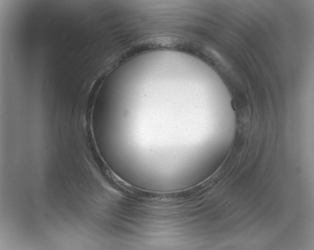 X0000071940500200607071017