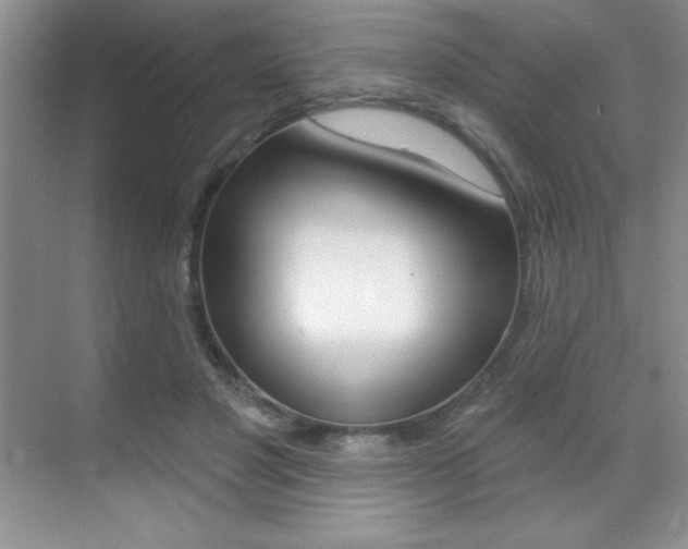 X0000071940501200607071017