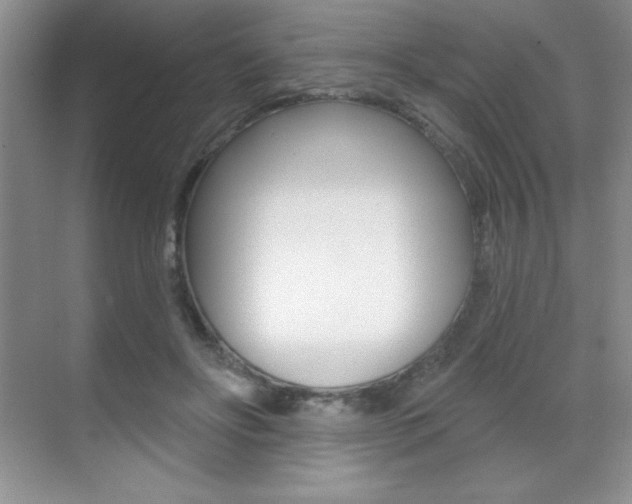 X0000071940502200607071017