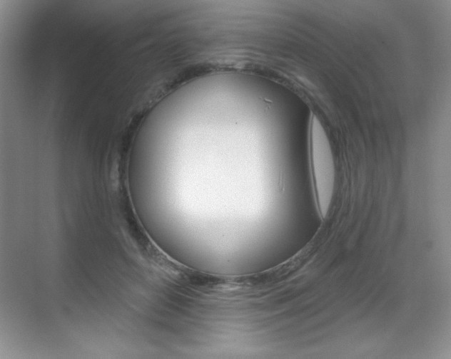 X0000071940504200607071017