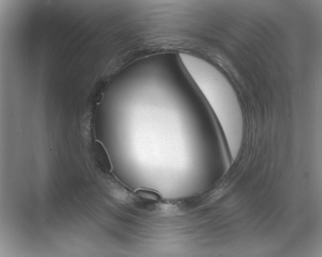 X0000071940509200607071017