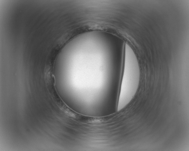X0000071940513200607071017