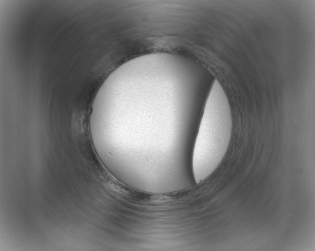 X0000071940514200607071017