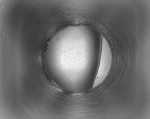 X0000071940516200607071017