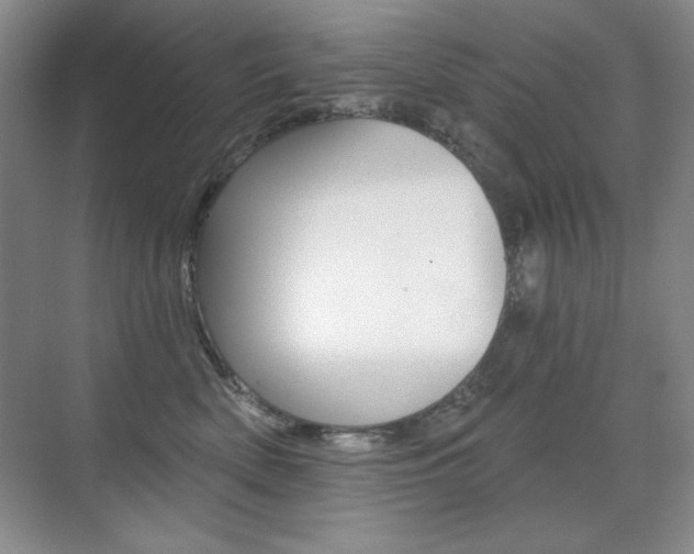 X0000071940522200607071016