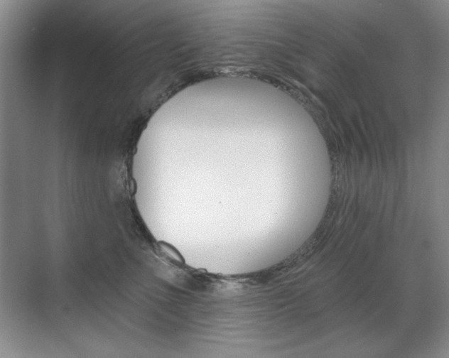 X0000071940523200607071016