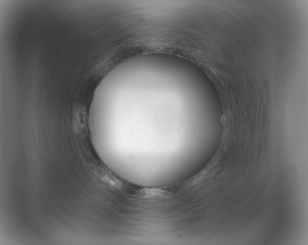 X0000071940528200607071016