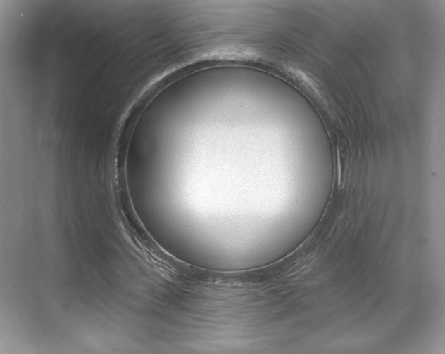 X0000071940531200607071016