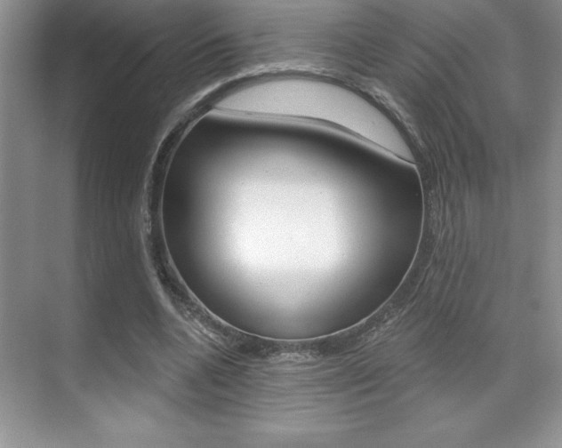 X0000071940536200607071016