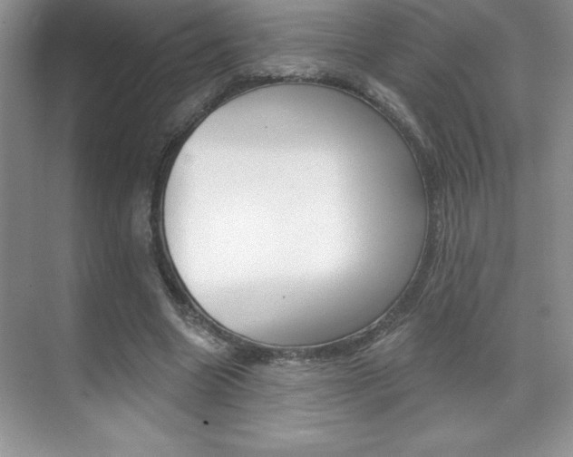 X0000071940538200607071016
