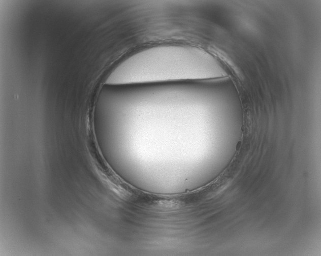 X0000071940541200607071016