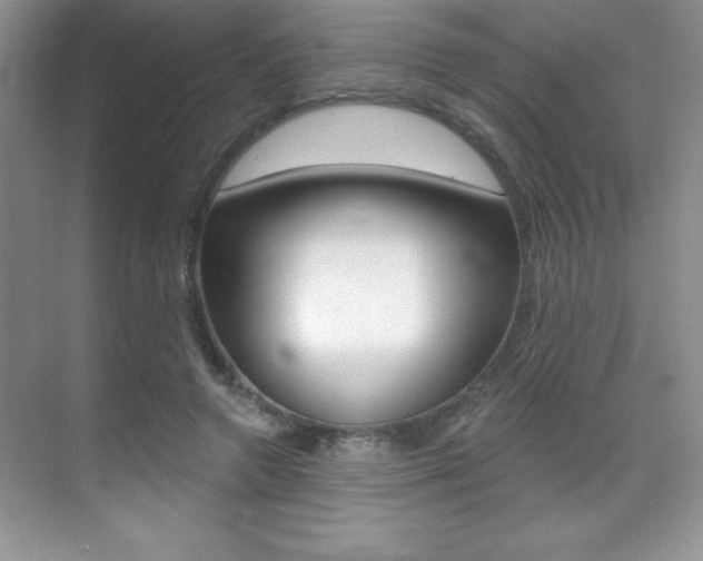 X0000071940546200607071016