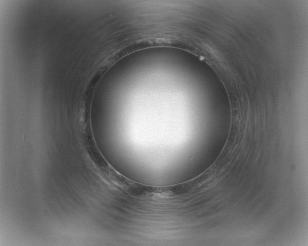 X0000071940548200607071016