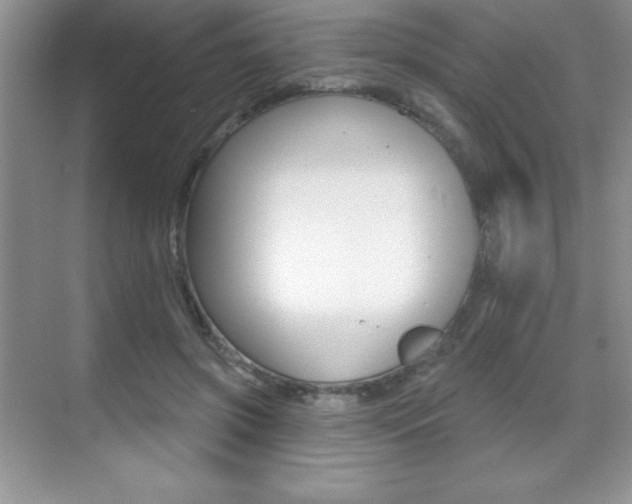 X0000071940549200607071016