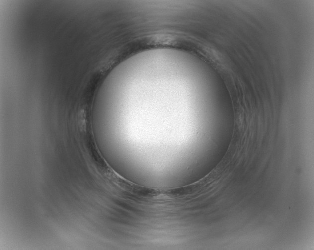 X0000071940551200607071016