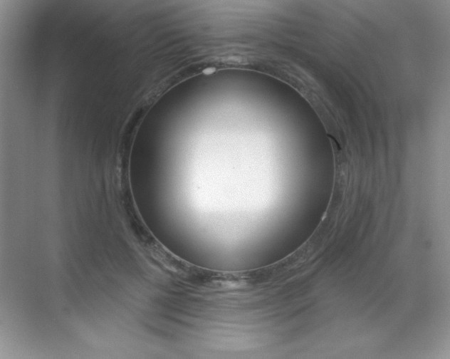 X0000071940552200607071016
