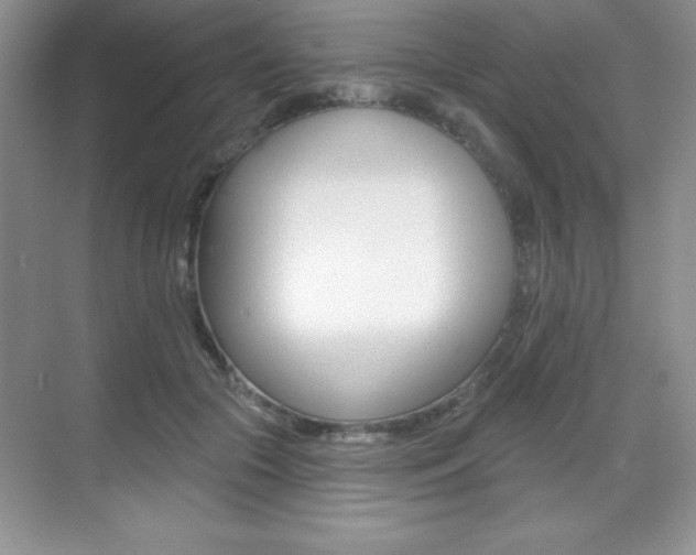 X0000071940553200607071016