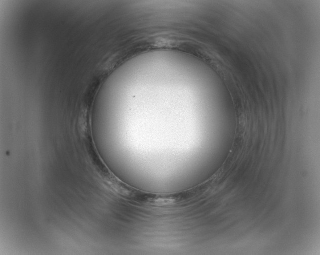 X0000071940554200607071016