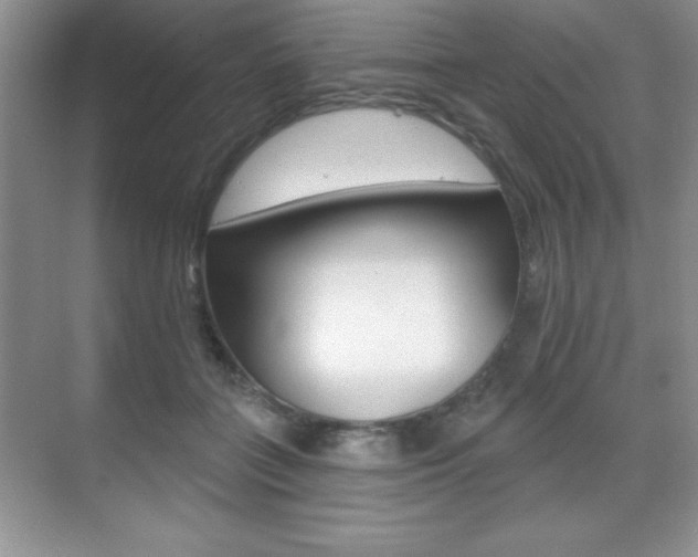 X0000071940555200607071016