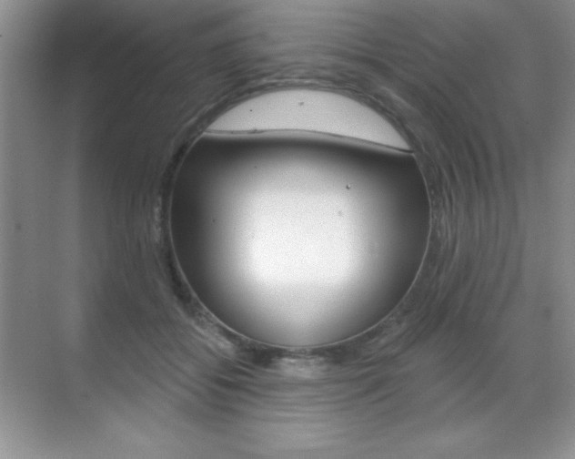 X0000071940556200607071016