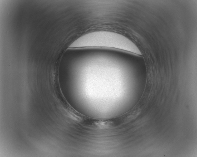 X0000071940558200607071016