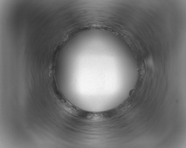 X0000071940559200607071016
