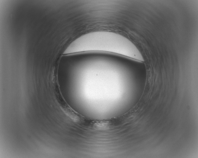 X0000071940560200607071016