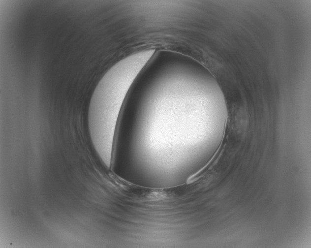 X0000071940562200607071016