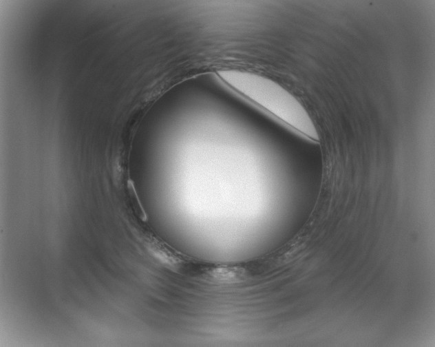 X0000071940566200607071016