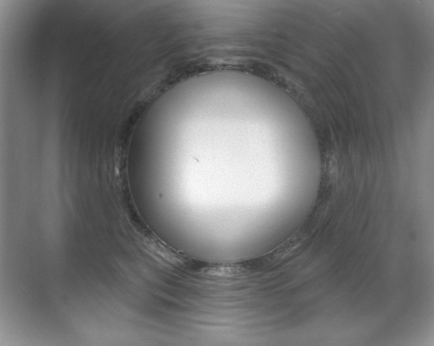 X0000071940567200607071016