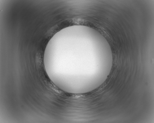 X0000071940569200607071016