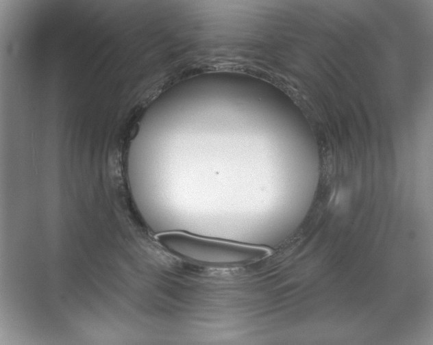 X0000071940571200607071016