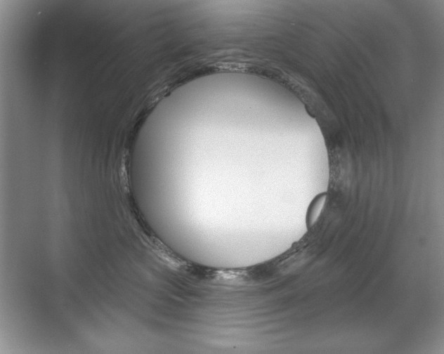 X0000071940573200607071016