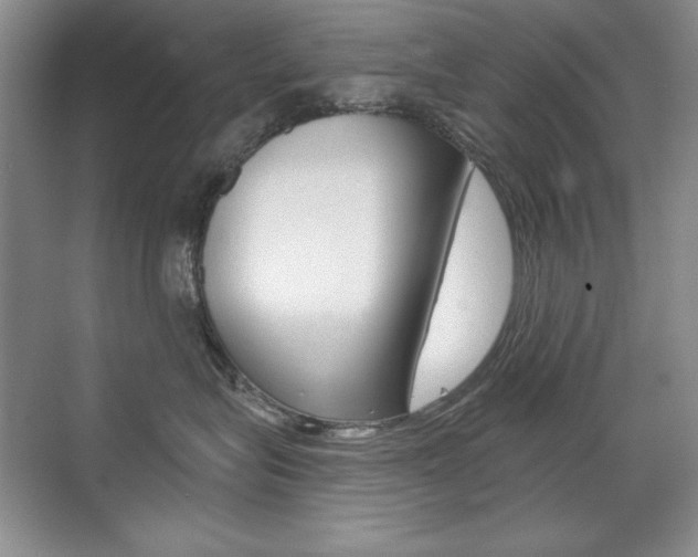 X0000071940575200607071016