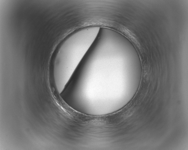 X0000071940578200607071015
