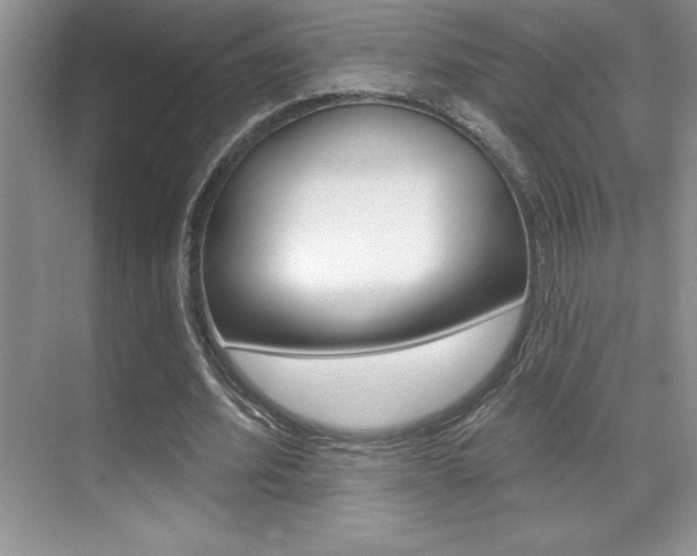 X0000071940580200607071015