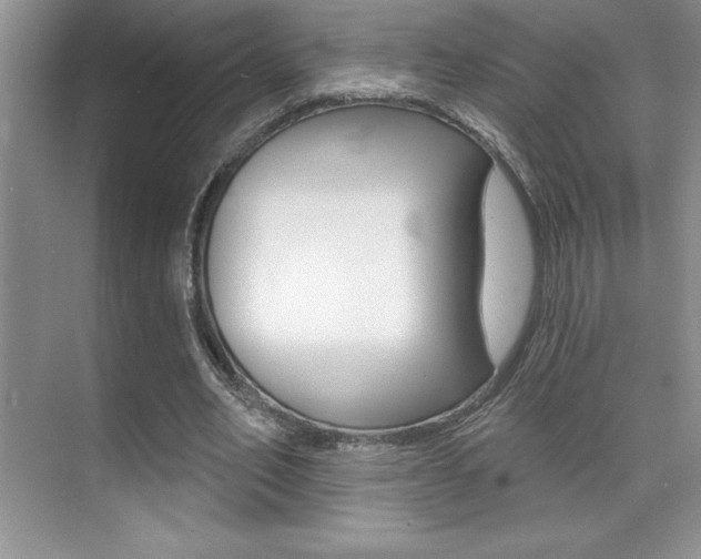 X0000071940582200607071015