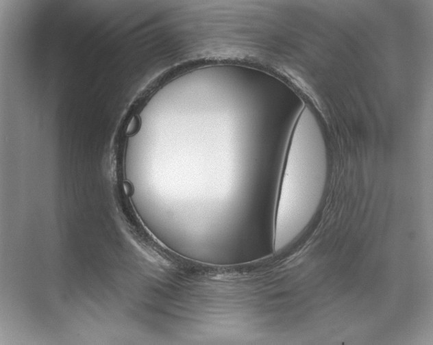 X0000071940584200607071015