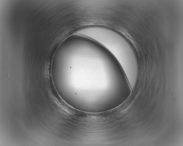 X0000071940585200607071015