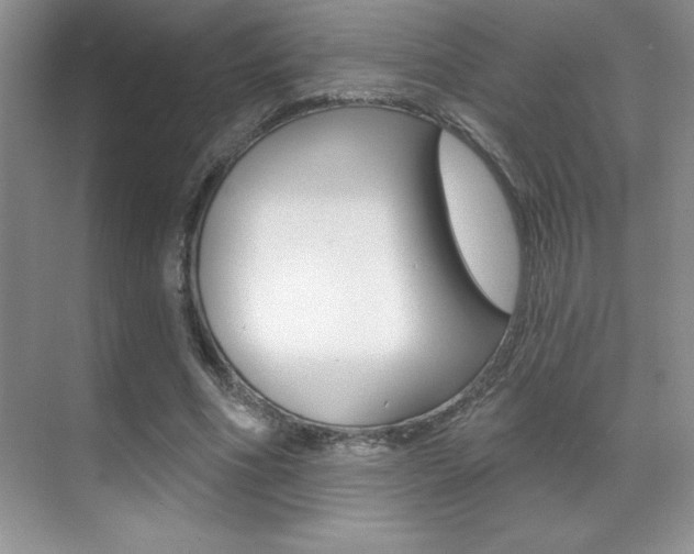 X0000071940586200607071015